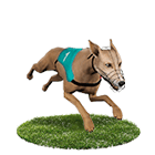 線上娛樂城PPT娛樂城白金賽狗 線上娛樂城PPT娛樂城白金賽狗